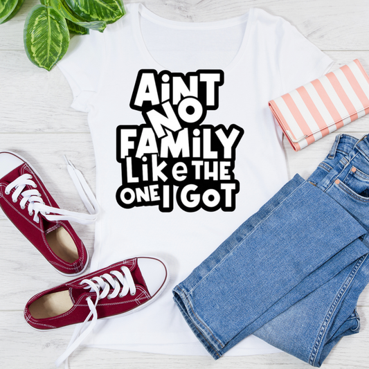 Aint No Family T-shirt